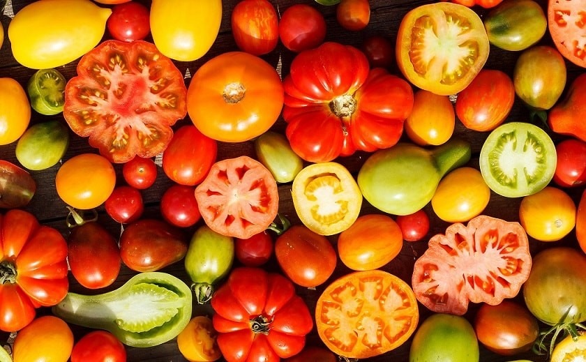 La graine de tomate ancienne a le vent en poupe