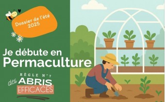 La culture sous abri : guide pratique pour le jardinier amateur