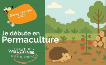 Les bons habitats pour la faune sauvage